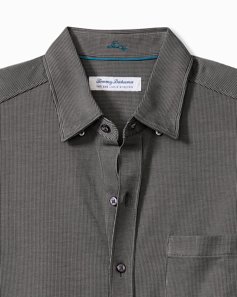 Big & Tall San Lucio Sol Stripe Stretch Knit Shirt