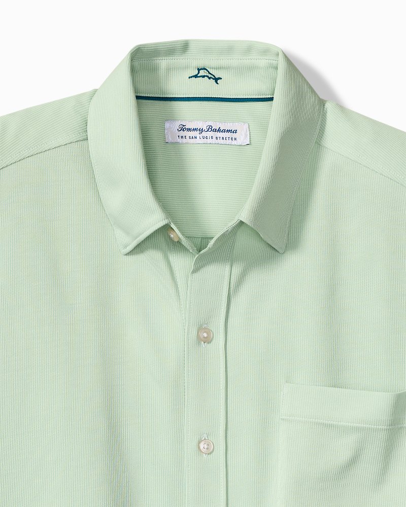 Big & Tall San Lucio Sol Stripe Stretch Knit Shirt