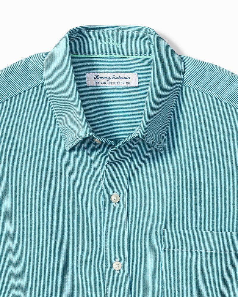 Big & Tall San Lucio Sol Stripe Stretch Knit Shirt