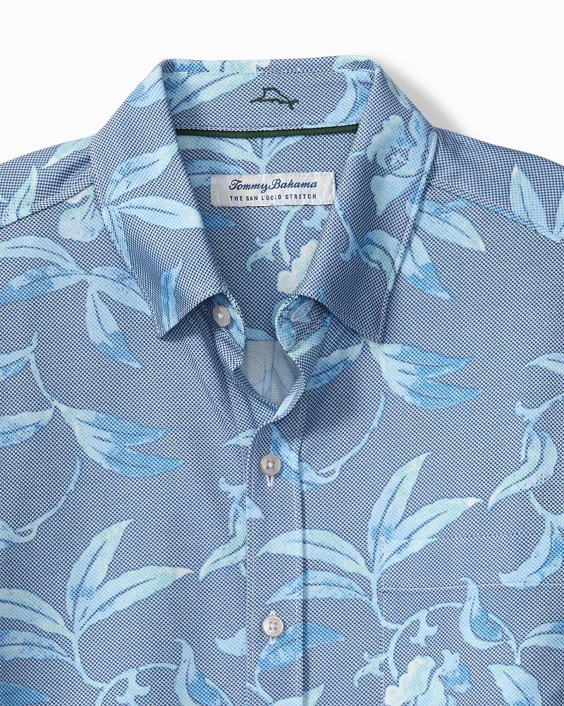 Big & Tall San Lucio Gardenia Stretch Knit Shirt