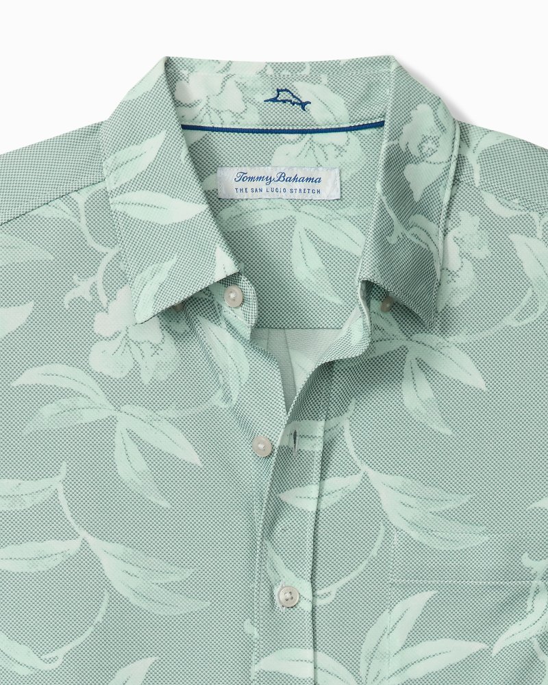 Big & Tall San Lucio Gardenia Stretch Knit Shirt