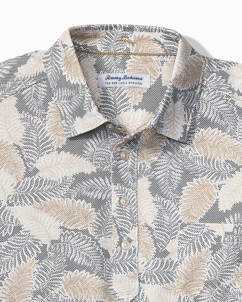 Big & Tall San Lucio Frond Fall Stretch-Knit Polo
