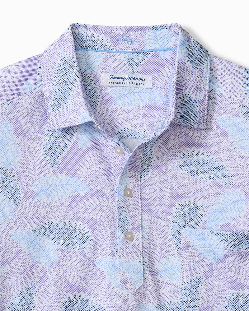 Big & Tall San Lucio Frond Fall Stretch-Knit Polo