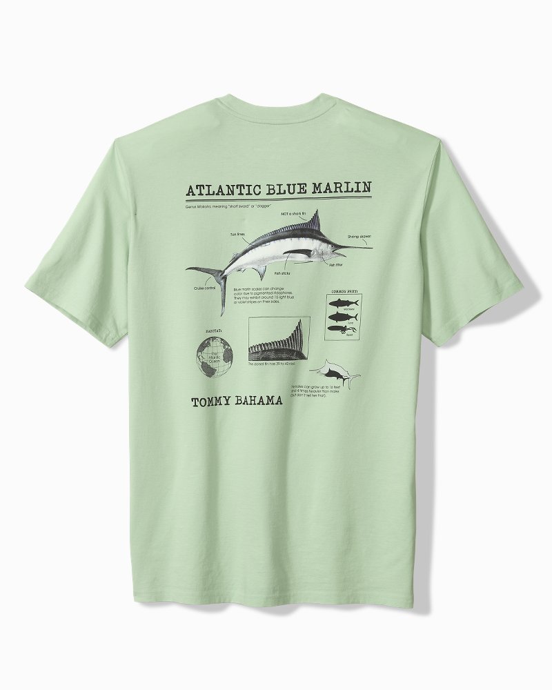 Big & Tall For Your Finformation Graphic T-Shirt