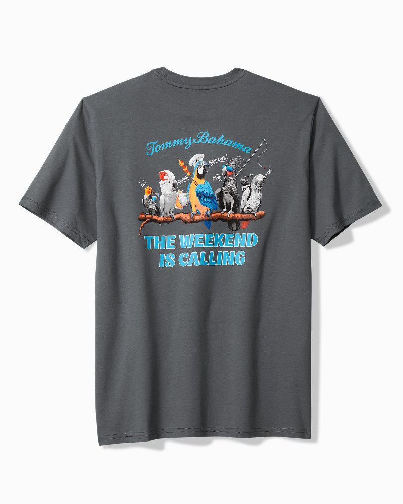 Big & Tall The Weekend Is Calling Graphic T-Shirt