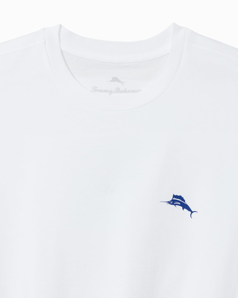 Big & Tall Glowshore Graphic T-Shirt
