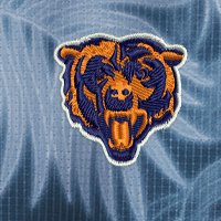 Swatch Color - chicago_bears