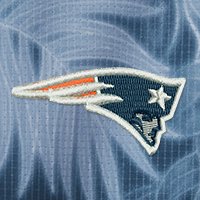 Swatch Color - new_england_patriots