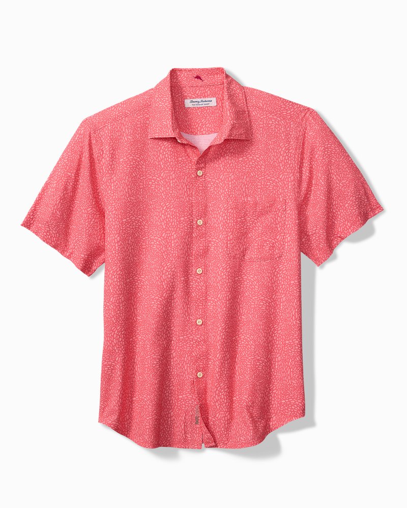 Big & Tall Bahama Coast Dot Drift IslandZone Shirt