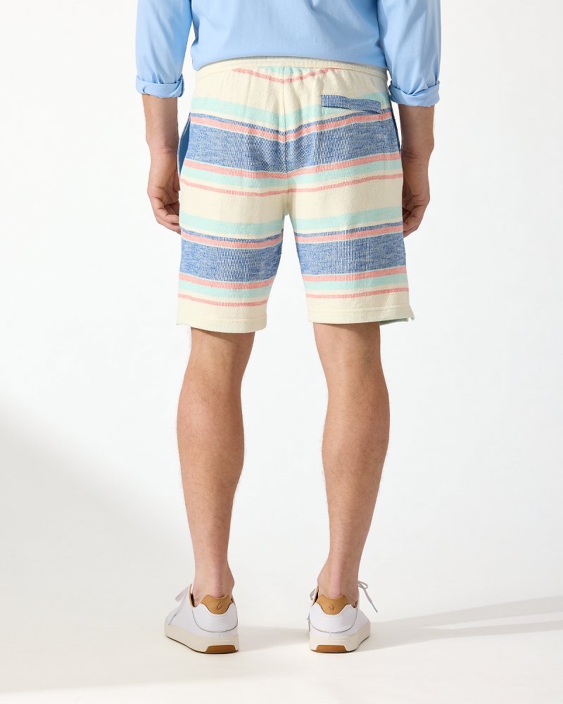 Big & Tall Cabana Coast Stripe Shorts