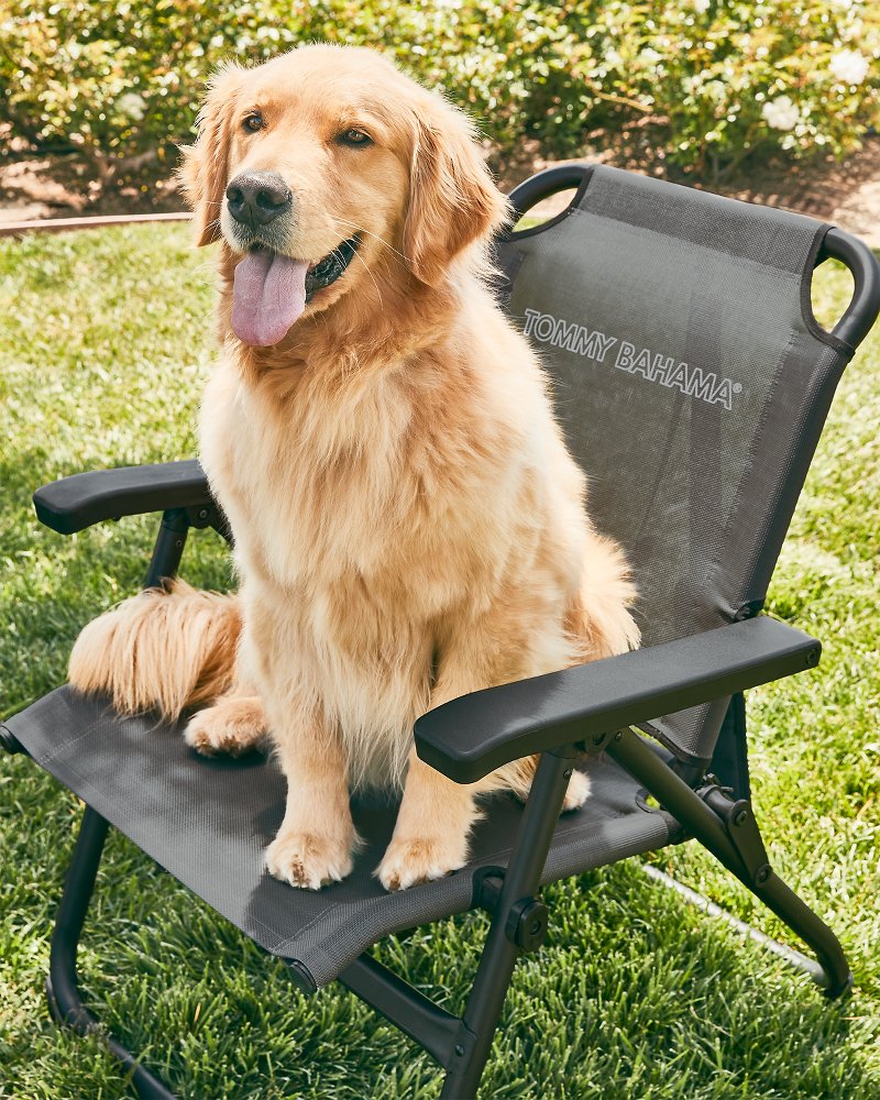 $300 YETI Chair Review, No cupholder. No problem., By You Betcha