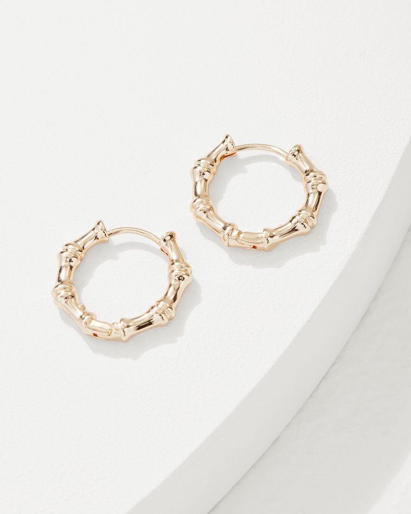 Oasis Essence Gold Bamboo Hoop Earrings