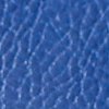 Swatch Color - Blue