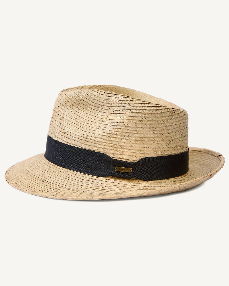 Brim trilby hat online