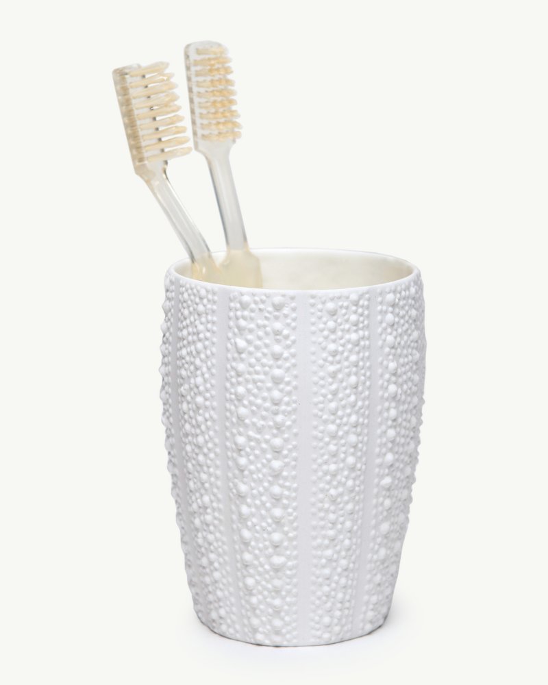 Sea Urchin Toothbrush Holder