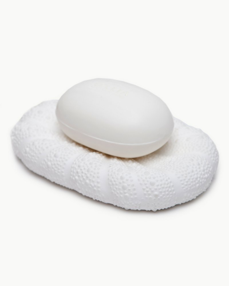 Sea Urchin Soap Dish