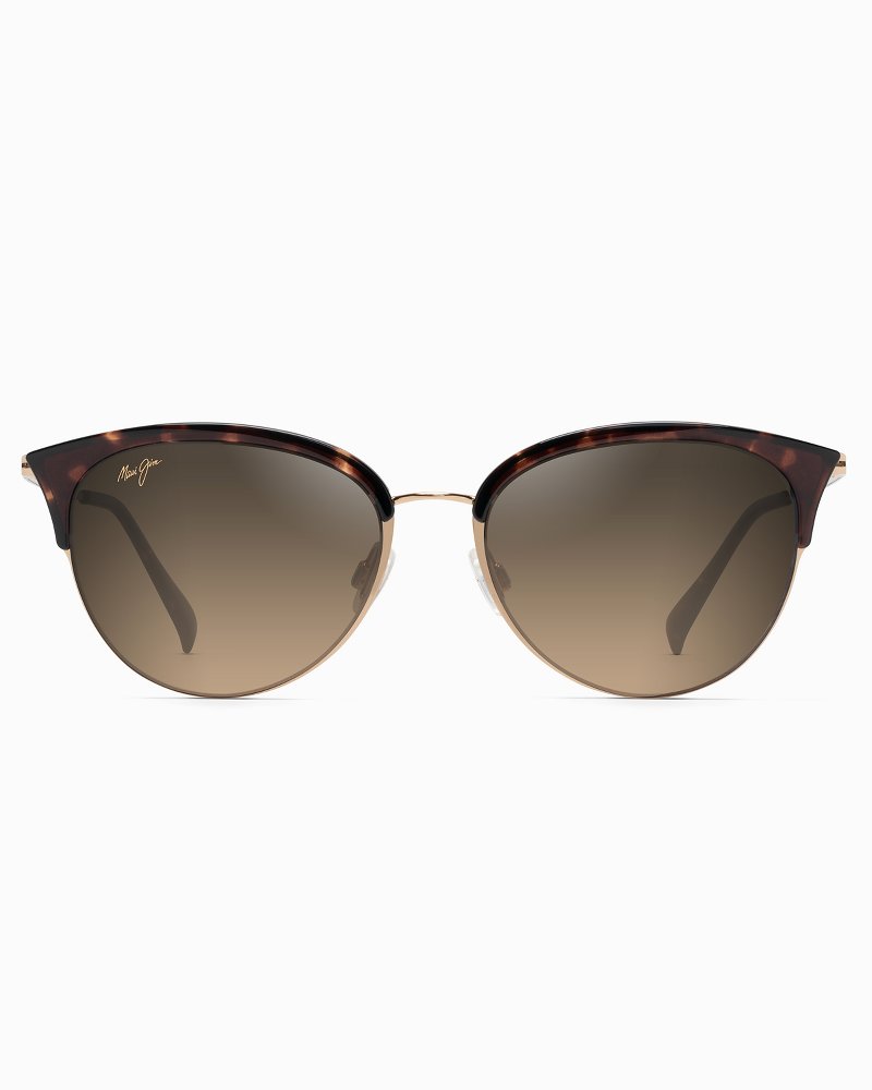 Tommy bahama hot sale sunglasses