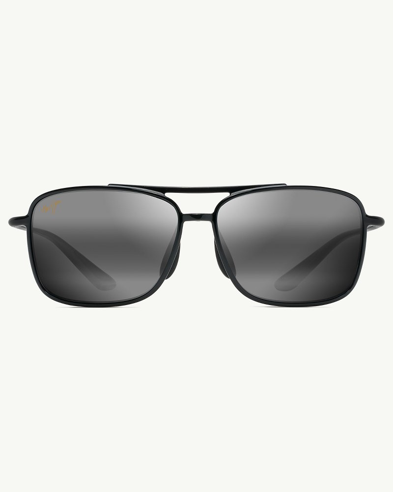 tommy bahama aviator sunglasses