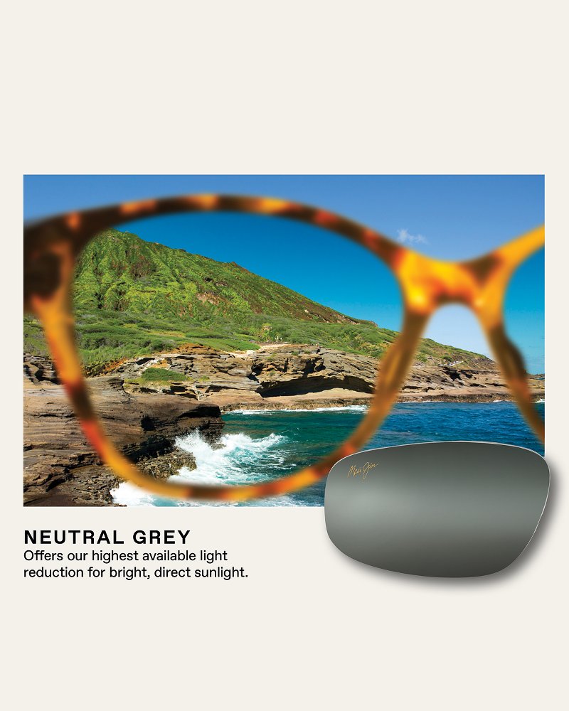 Pokowai Arch Sunglasses by Maui Jim