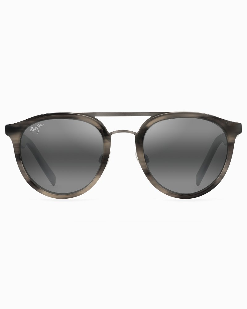 tommy bahama aviator sunglasses