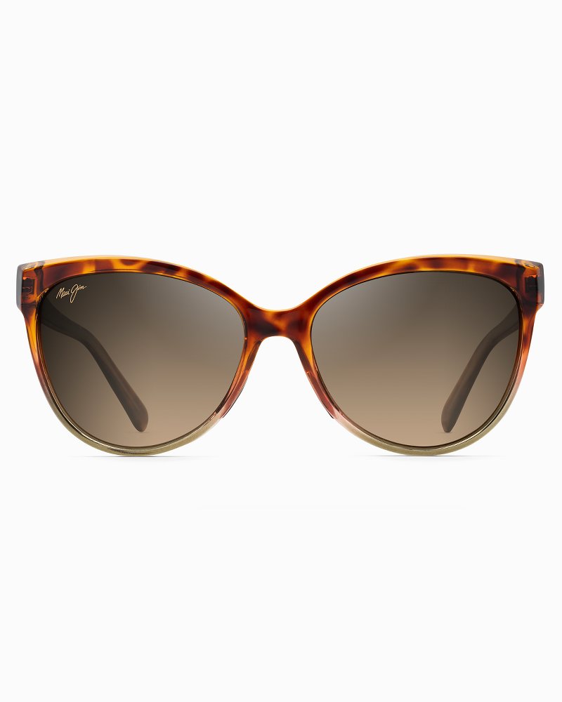 tommy bahama maui jim sunglasses