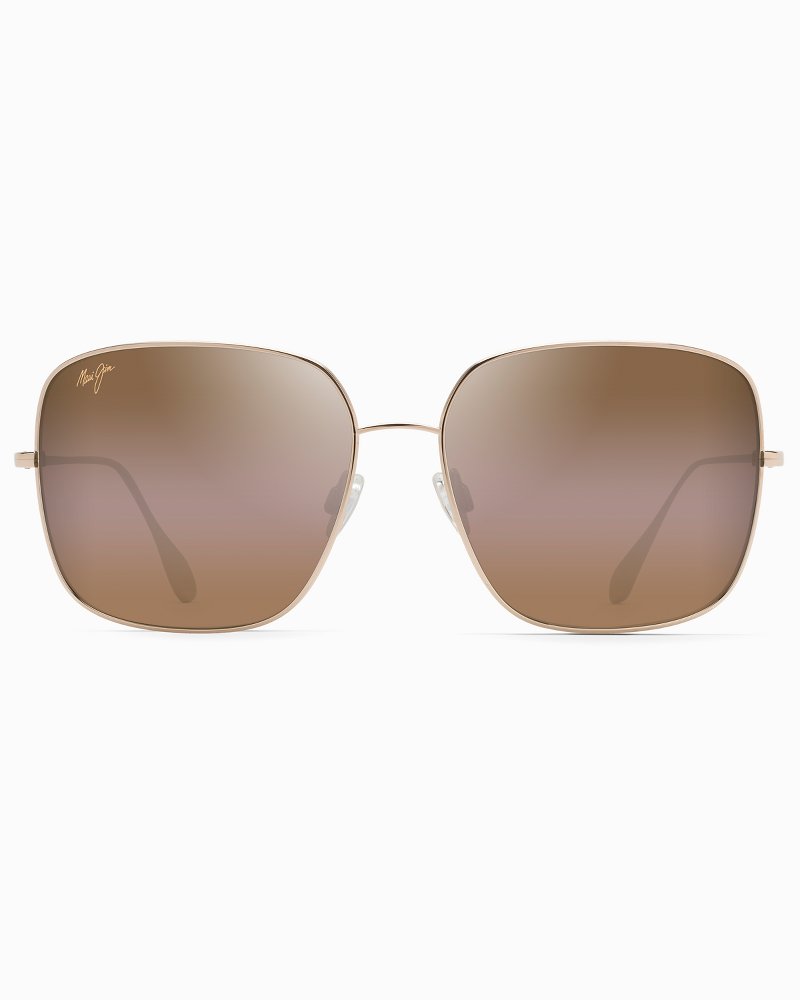 tommy bahama aviator sunglasses