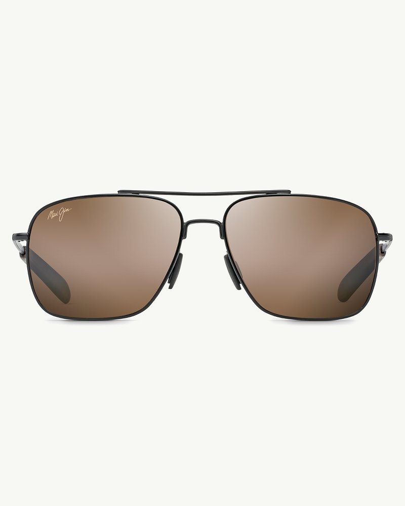 tommy bahama sunglasses