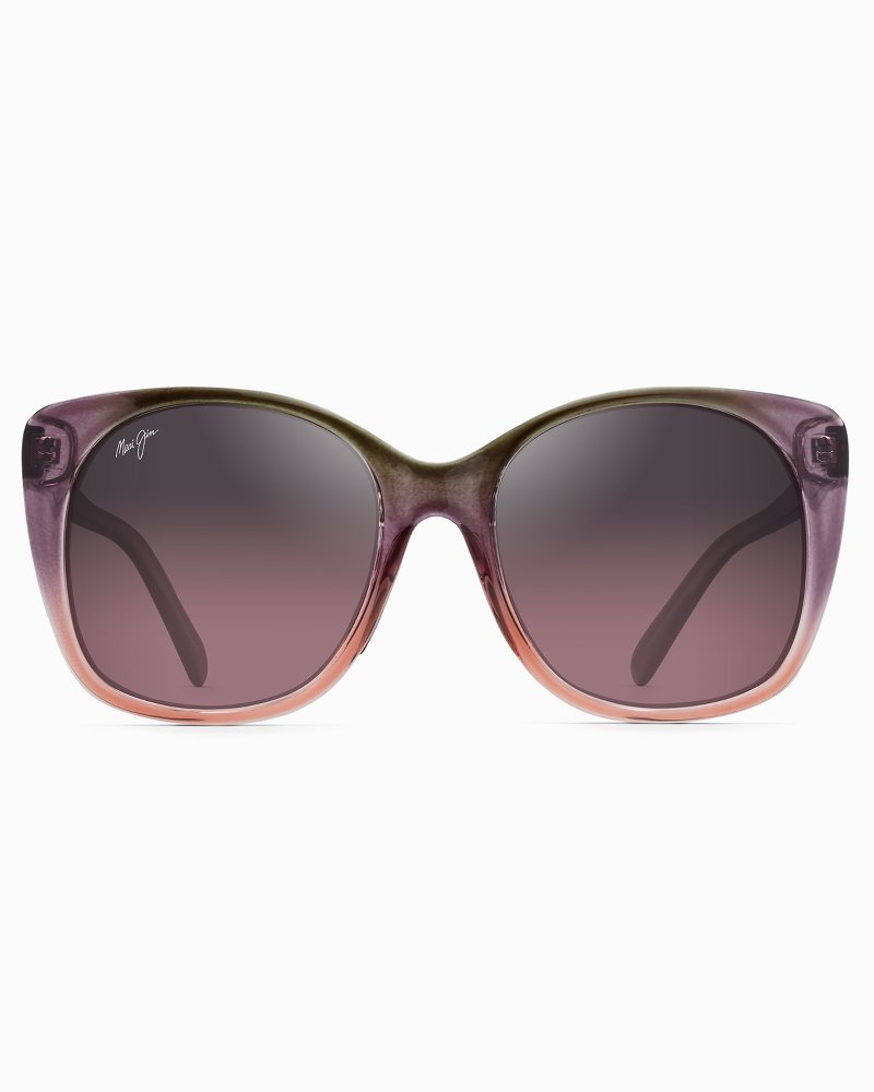 tommy bahama maui jim sunglasses