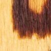 Swatch Color - Brown