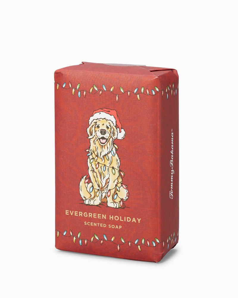 Huladay Express Bar Soap