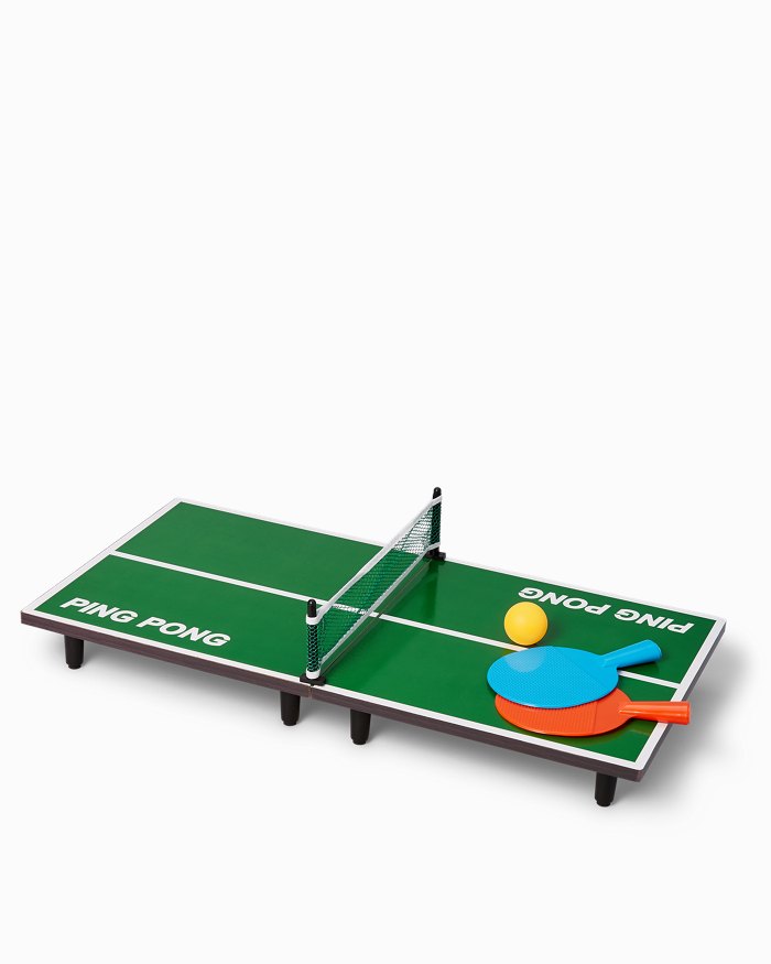 Hawaii, Alaska Unique Indoor or Outdoor Ping Pong Table Tennis Table Seattle