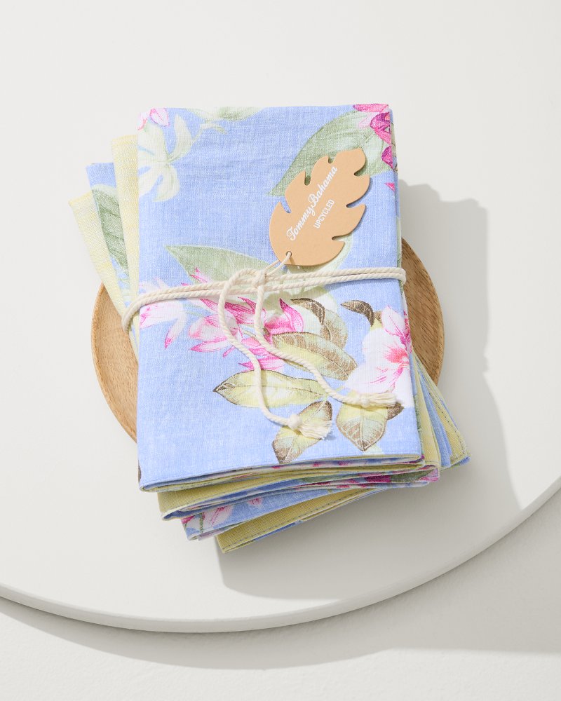 Ray Upcycled Reversible Linen Dinner Napkins - Set of 4