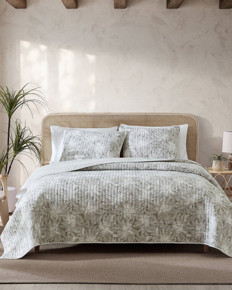 Juan Brown & White Floral Cotton Comforter Set