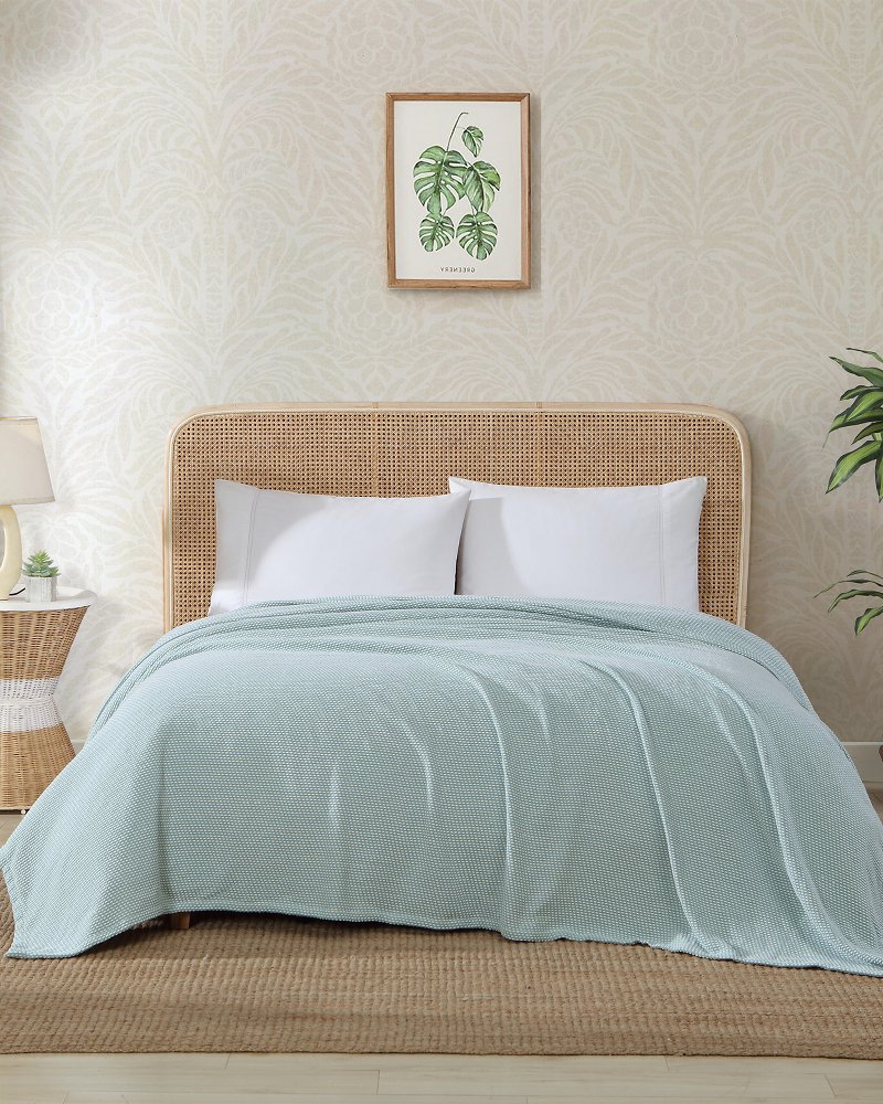 Chenille queen blanket clearance