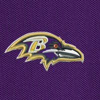 Swatch Color - baltimore_ravens