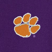 Swatch Color - clemson