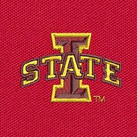 Swatch Color - iowa_state