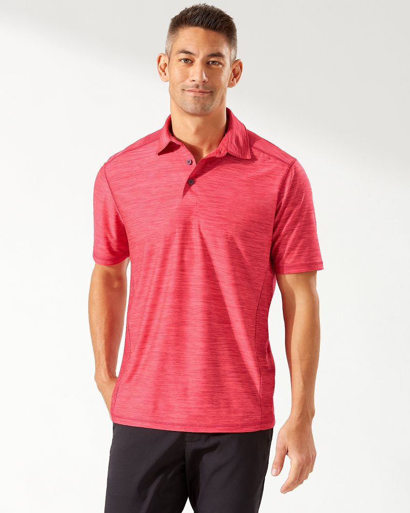 Tommy bahama beach blast hot sale polo