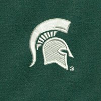 Swatch Color - michigan_state
