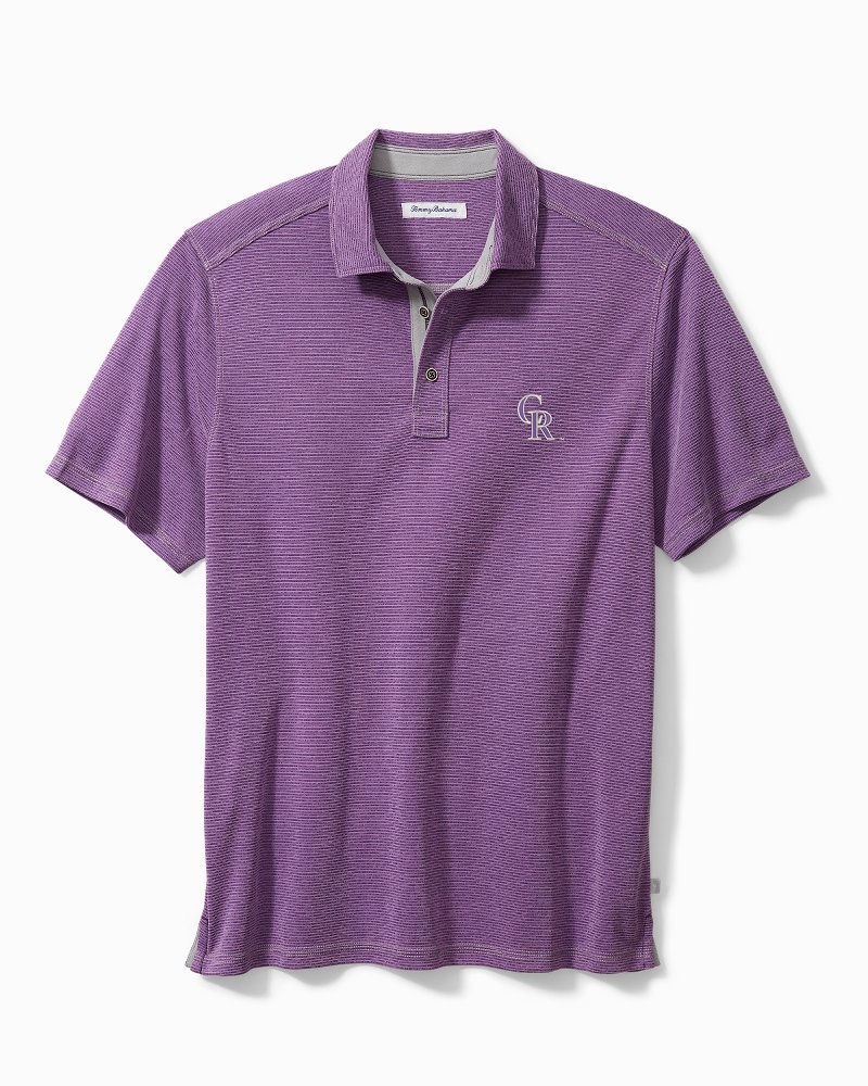 Colorado Rockies Shirt  Recycled ActiveWear ~ FREE SHIPPING USA ONLY~