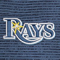 Swatch Color - tampa_bay_rays