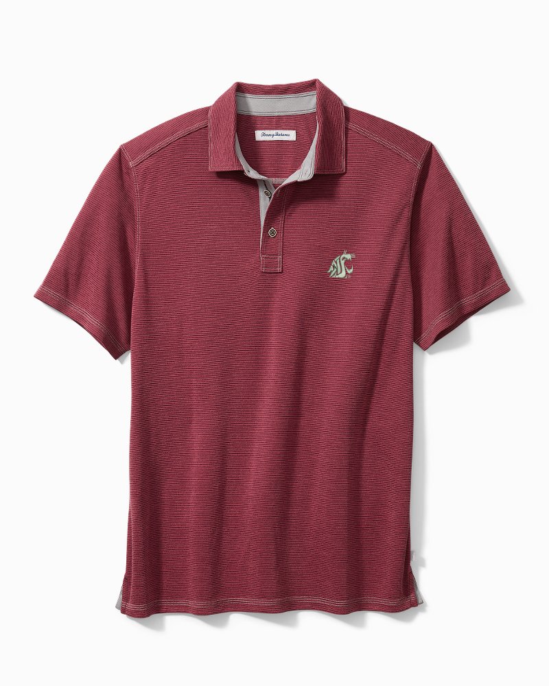 Collegiate Paradiso Cove Polo