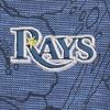 Swatch Color - tampa_bay_rays