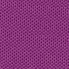 Swatch Color - Purple Chordata