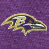 Swatch Color - baltimore_ravens