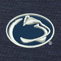 Swatch Color - penn_state