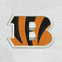 Swatch Color - cincinnati_bengals