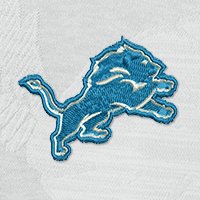 Swatch Color - detroit_lions