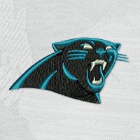 Swatch Color - carolina_panthers