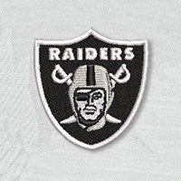 Swatch Color - Raiderslt Grey A